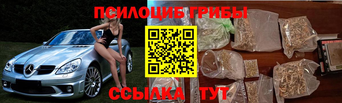 Галлюциногенные грибы прущие грибы Дубна